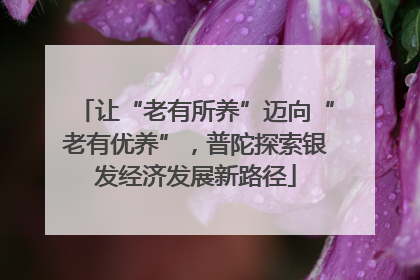 让“老有所养”迈向“老有优养”，普陀探索银发经济发展新路径