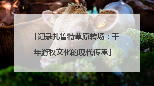 记录扎鲁特草原转场：千年游牧文化的现代传承