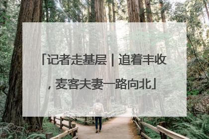 记者走基层｜追着丰收，麦客夫妻一路向北