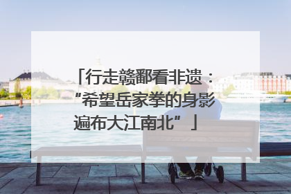 行走赣鄱看非遗：“希望岳家拳的身影遍布大江南北”