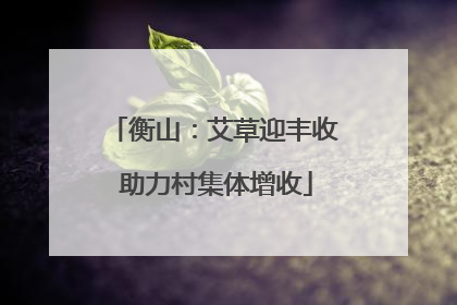 衡山：艾草迎丰收 助力村集体增收
