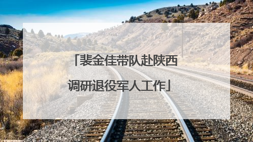 裴金佳带队赴陕西调研退役军人工作