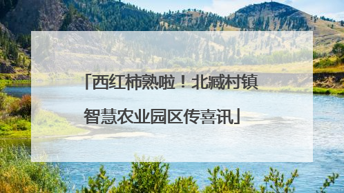 西红柿熟啦！北臧村镇智慧农业园区传喜讯