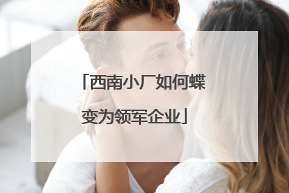 西南小厂如何蝶变为领军企业