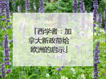 西学者：加拿大新政带给欧洲的启示