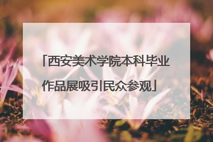 西安美术学院本科毕业作品展吸引民众参观