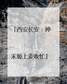 西安长安：神禾塬上麦收忙