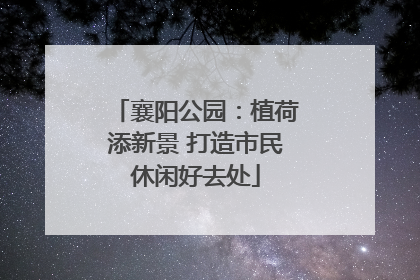 襄阳公园：植荷添新景 打造市民休闲好去处