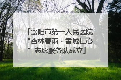 襄阳市第一人民医院“杏林春雨・雪域仁心”志愿服务队成立