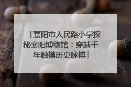襄阳市人民路小学探秘襄阳博物馆：穿越千年触摸历史脉搏