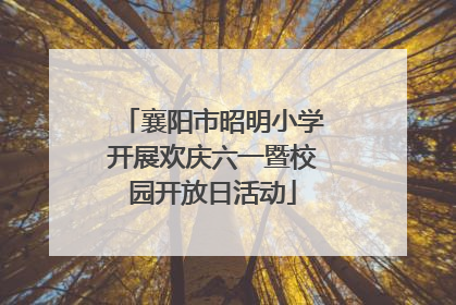 襄阳市昭明小学开展欢庆六一暨校园开放日活动