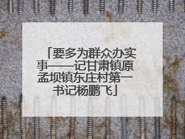要多为群众办实事——记甘肃镇原孟坝镇东庄村第一书记杨鹏飞