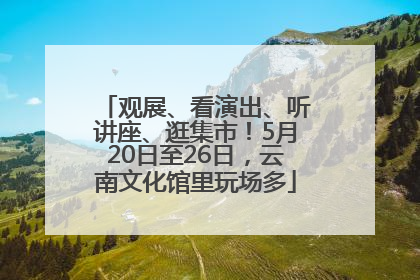 观展、看演出、听讲座、逛集市！5月20日至26日，云南文化馆里玩场多