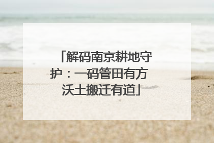 解码南京耕地守护：一码管田有方 沃土搬迁有道