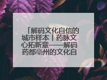 解码文化自信的城市样本丨药脉文心拓新章——解码药都亳州的文化自信样本