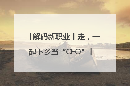 解码新职业丨走，一起下乡当“CEO”
