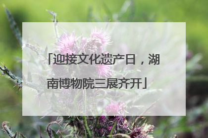 迎接文化遗产日，湖南博物院三展齐开