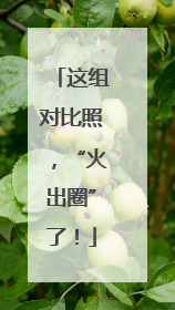 这组对比照，“火出圈”了！