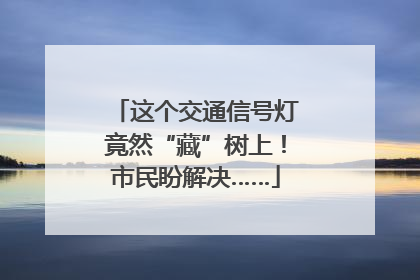 这个交通信号灯竟然“藏”树上！市民盼解决……