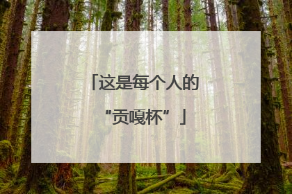 这是每个人的“贡嘎杯”