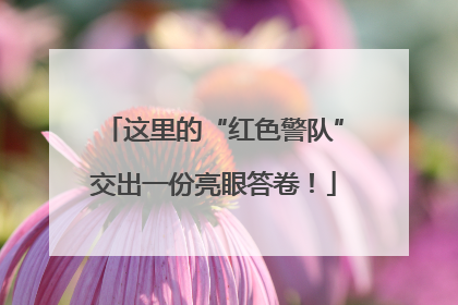 这里的“红色警队”交出一份亮眼答卷！