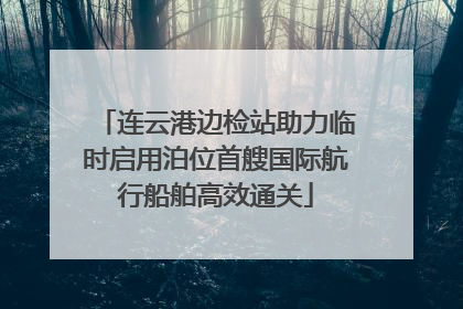 连云港边检站助力临时启用泊位首艘国际航行船舶高效通关