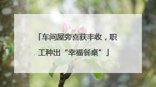 车间屋旁喜获丰收，职工种出“幸福餐桌”
