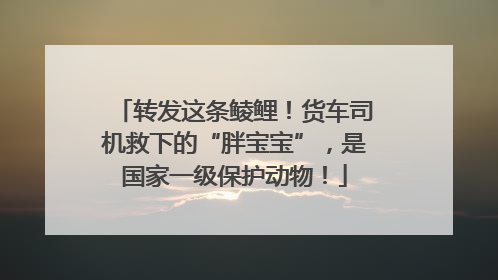 转发这条鲮鲤！货车司机救下的“胖宝宝”，是国家一级保护动物！