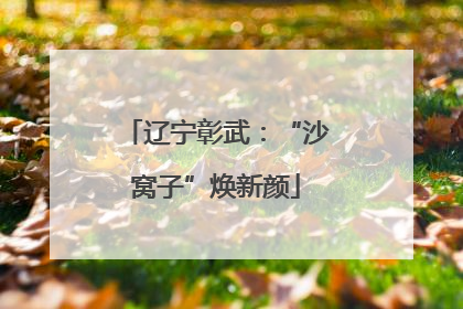 辽宁彰武：“沙窝子”焕新颜