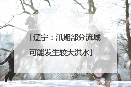 辽宁：汛期部分流域可能发生较大洪水