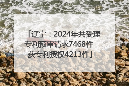 辽宁：2024年共受理专利预审请求7468件 获专利授权4213件