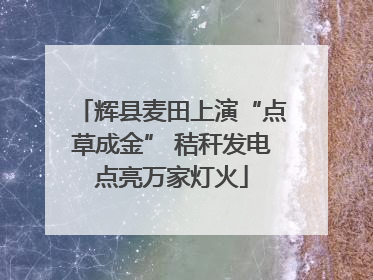 辉县麦田上演“点草成金” 秸秆发电点亮万家灯火