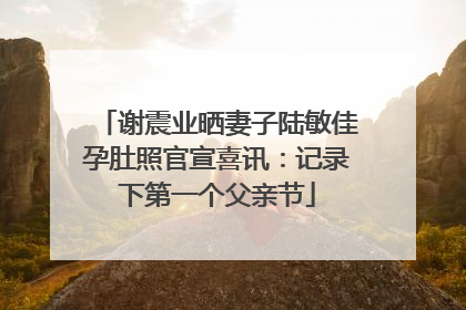 谢震业晒妻子陆敏佳孕肚照官宣喜讯：记录下第一个父亲节