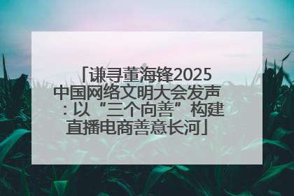 谦寻董海锋2025中国网络文明大会发声：以“三个向善”构建直播电商善意长河