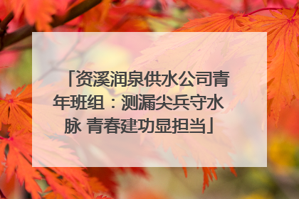 资溪润泉供水公司青年班组：测漏尖兵守水脉 青春建功显担当