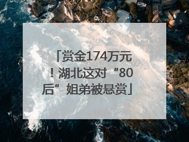 赏金174万元！湖北这对“80后”姐弟被悬赏