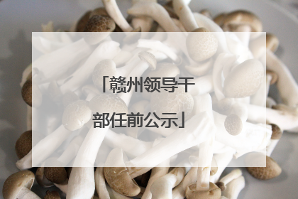 赣州领导干部任前公示