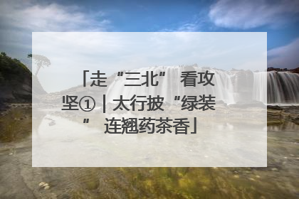 走“三北” 看攻坚①｜太行披“绿装” 连翘药茶香