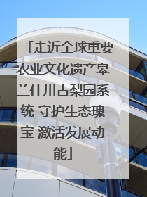 走近全球重要农业文化遗产皋兰什川古梨园系统 守护生态瑰宝 激活发展动能