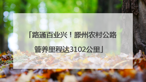 路通百业兴！滕州农村公路管养里程达3102公里