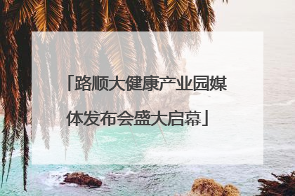 路顺大健康产业园媒体发布会盛大启幕