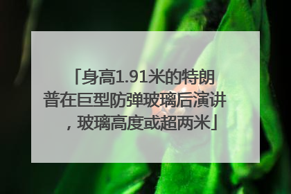 身高1.91米的特朗普在巨型防弹玻璃后演讲，玻璃高度或超两米