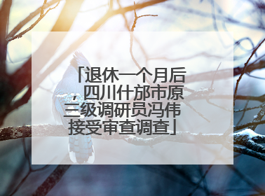 退休一个月后，四川什邡市原三级调研员冯伟接受审查调查