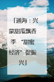 通海：兴蒙甜瓜飘香季 “甜蜜经济”促振兴