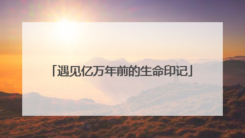 遇见亿万年前的生命印记