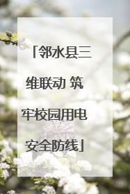 邻水县三维联动 筑牢校园用电安全防线