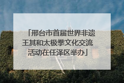 邢台市首届世界非遗王其和太极拳文化交流活动在任泽区举办