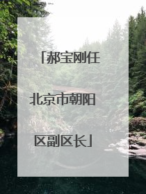 郝宝刚任北京市朝阳区副区长