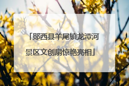 郧西县羊尾镇龙潭河景区文创扇惊艳亮相