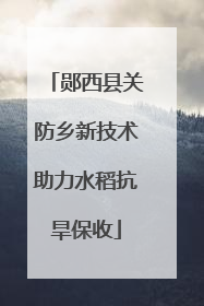 郧西县关防乡新技术助力水稻抗旱保收